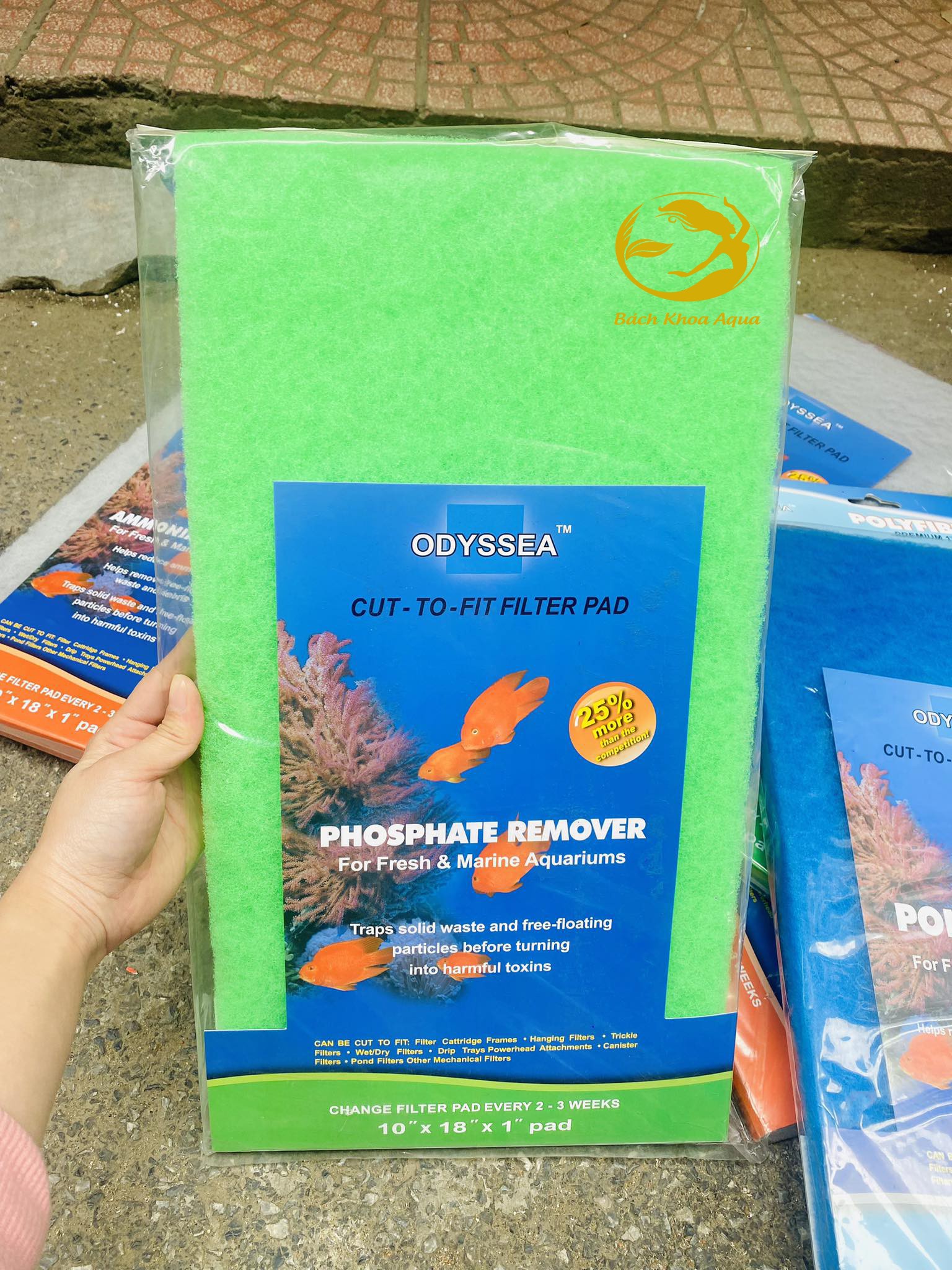 BÔNG LỌC ODYSSEA